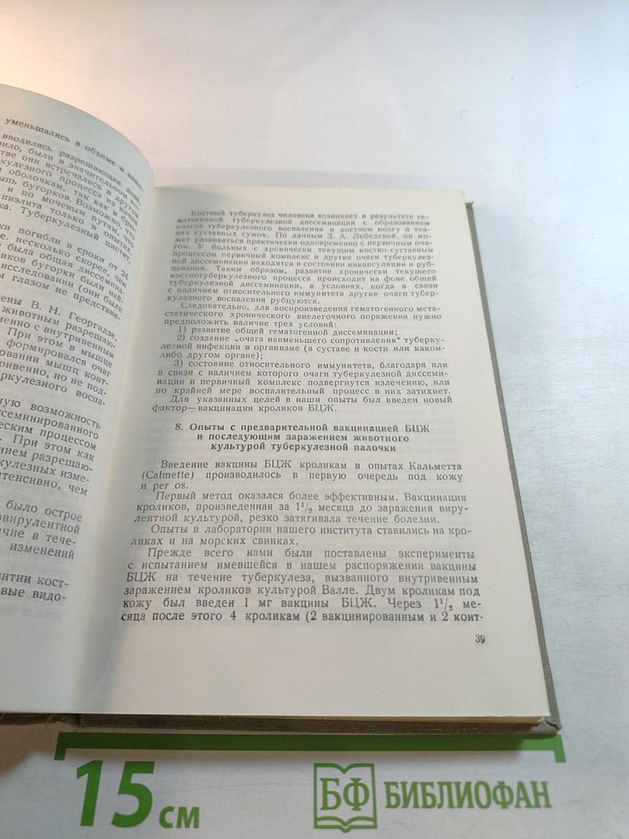 Экспериментальный костно-суставной туберкулез