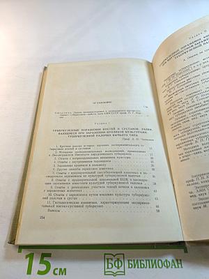 Экспериментальный костно-суставной туберкулез