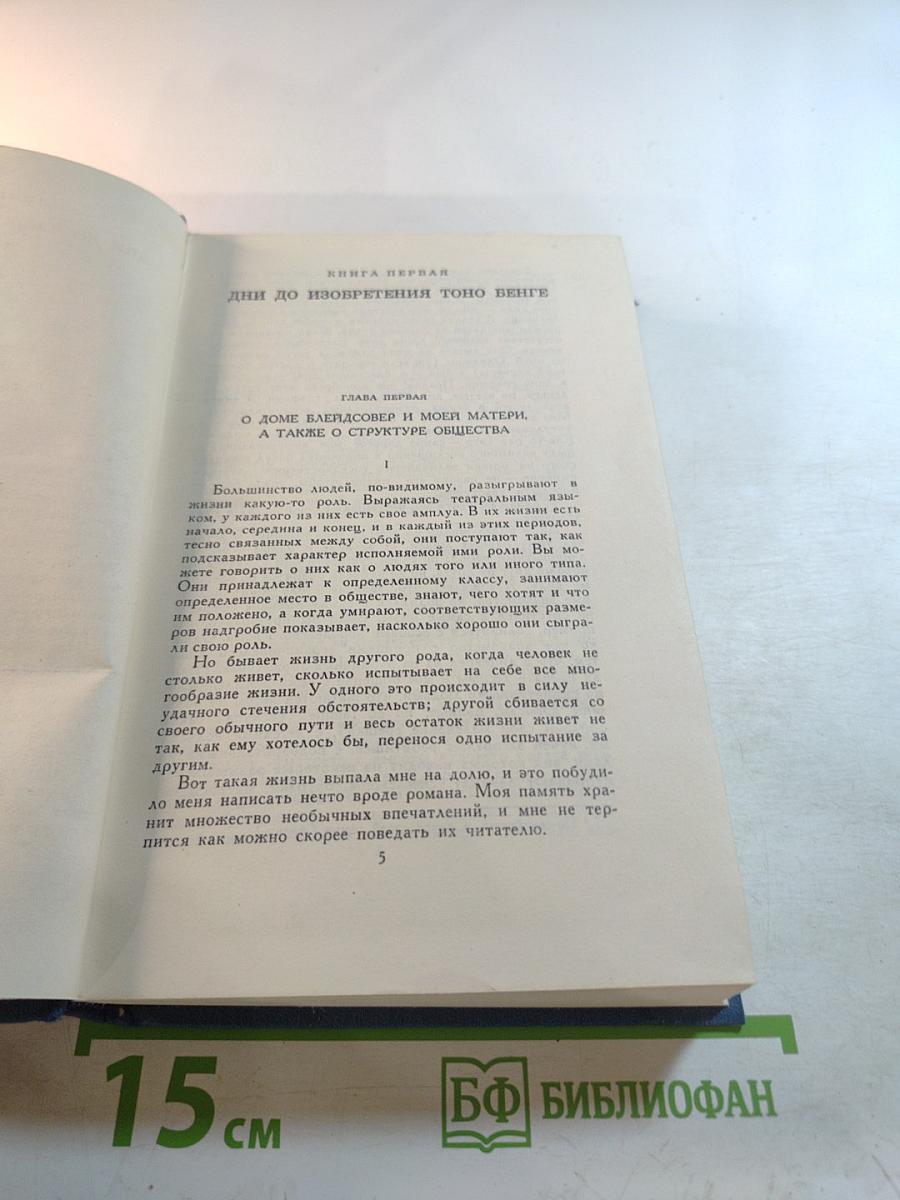Собрание сочинений в пятнадцати томах. Том 8. Тоно Бенге. Колесо фортуны