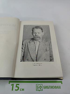 Собрание сочинений в тридцати томах. Том 18: Пьесы, сценарии, инсценировки 1921-1935