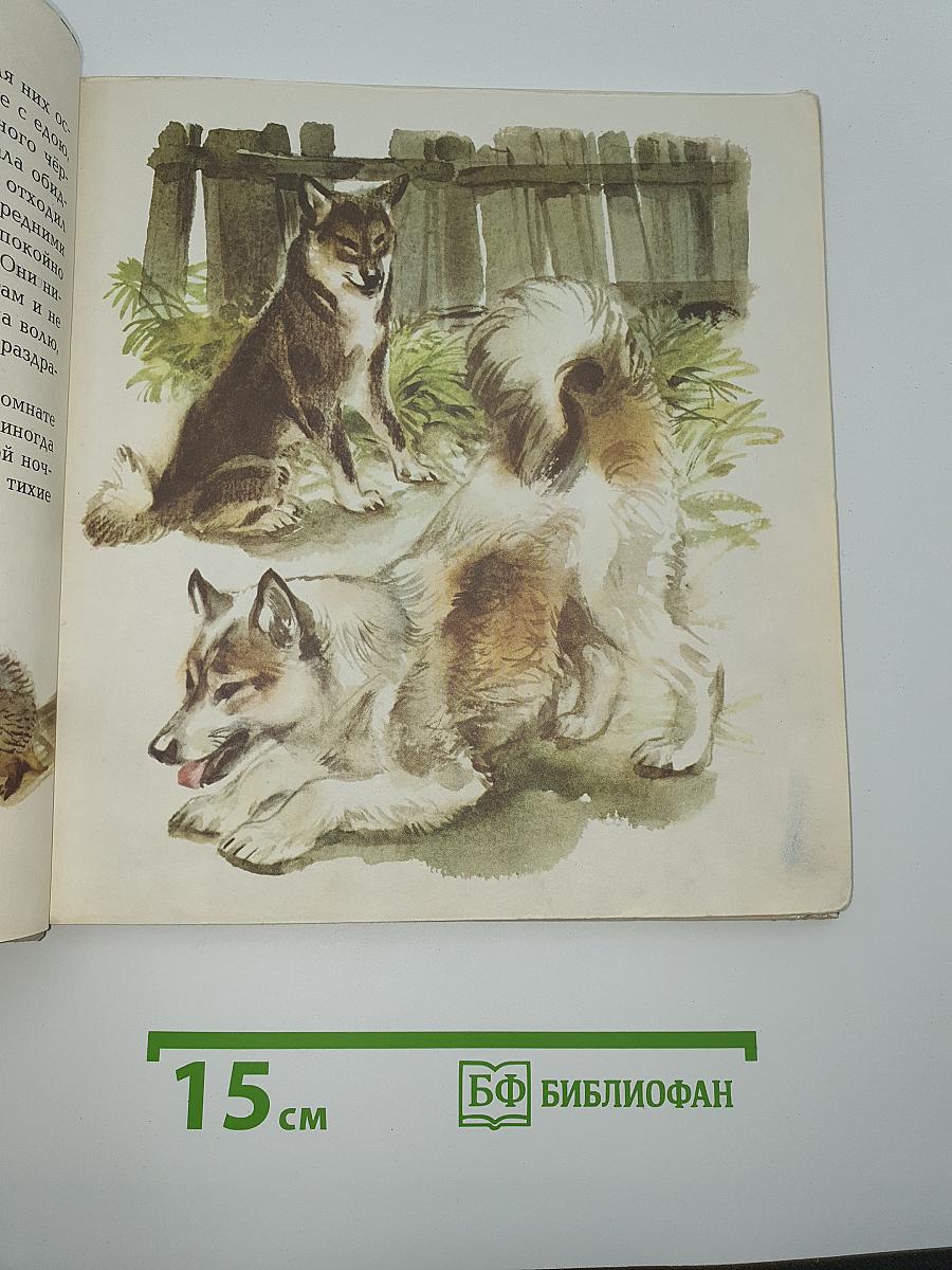 В Лесу