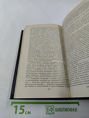 Имя твое. Книга первая. Том третий