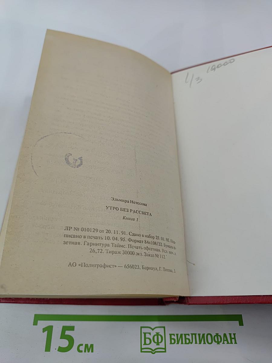 Утро без рассвета. Книга 1