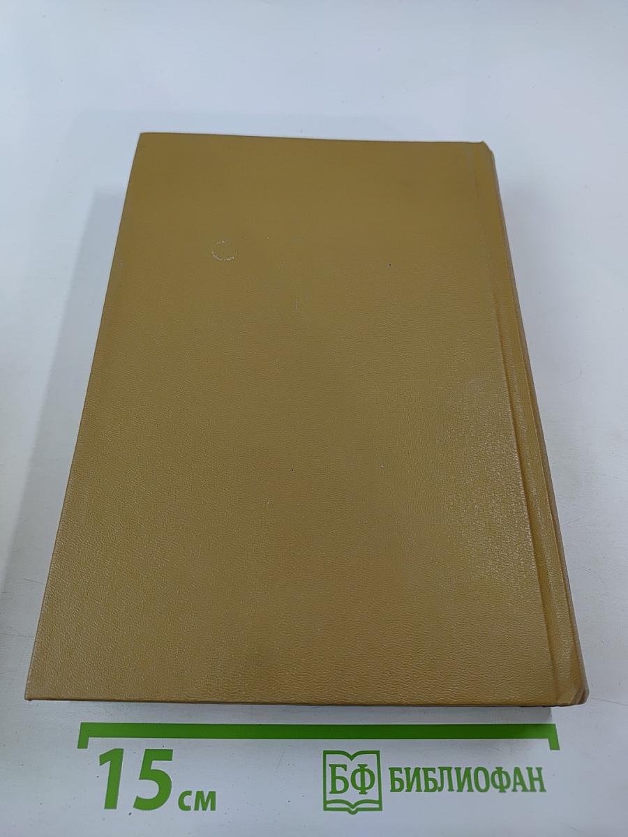 Виконт де Бражелон или Десять лет спустя. Части 3,4