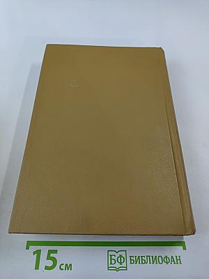 Виконт де Бражелон или Десять лет спустя. Части 3,4