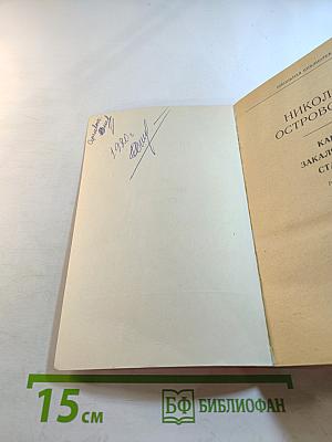 Как закалялась сталь