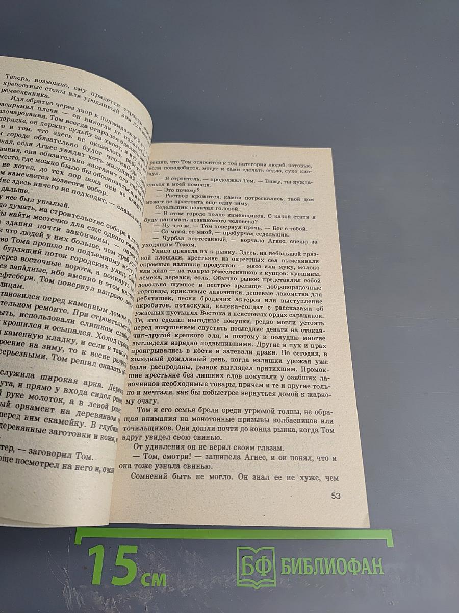 Столпы земли. В двух книгах. Книга I