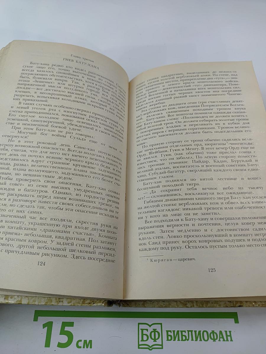 К «последнему морю». Юность полководца