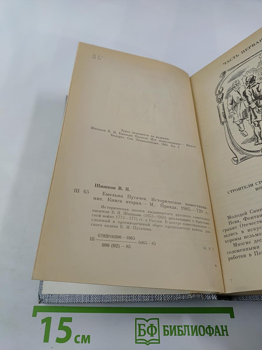 Емельян Пугачев. Книга вторая