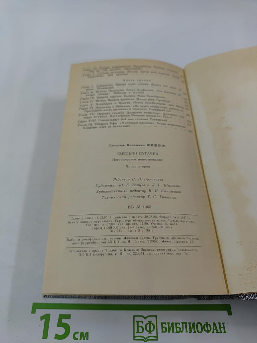 Емельян Пугачев. Книга вторая