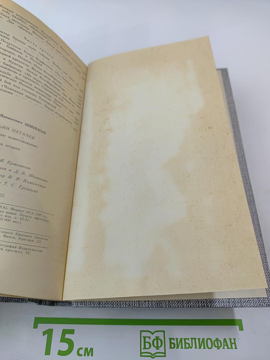 Емельян Пугачев. Книга вторая