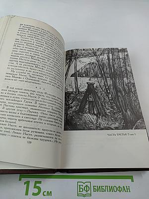 В лесах (Собрание сочинений в восьми томах, Том 3)