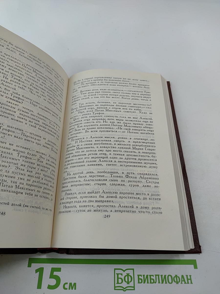 В лесах (Собрание сочинений в восьми томах, Том 3)