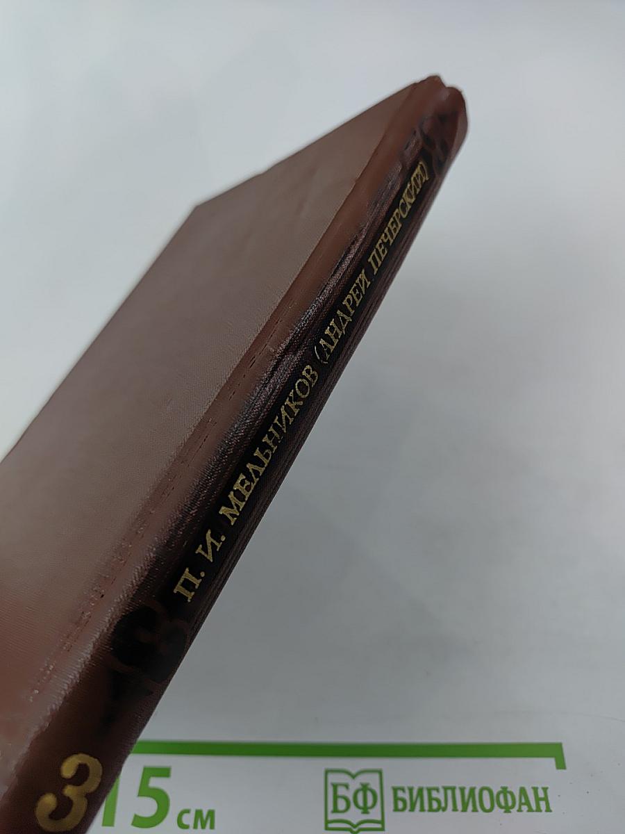 В лесах (Собрание сочинений в восьми томах, Том 3)