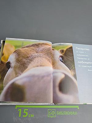 Бывают дни, когда опустишь лапы... Эта книга поднимет тебе настроение