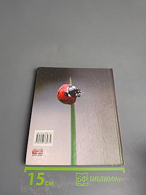 Бывают дни, когда опустишь лапы... Эта книга поднимет тебе настроение