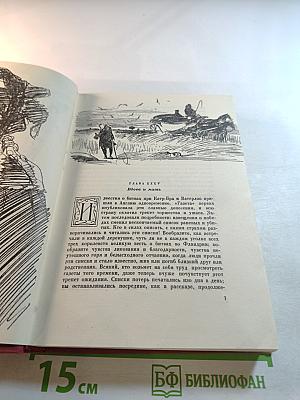 Ярмарка тщеславия. Том второй