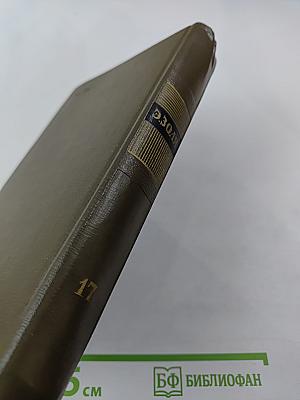 Собрание сочинений Том семнадцатый. Три города. Лурд