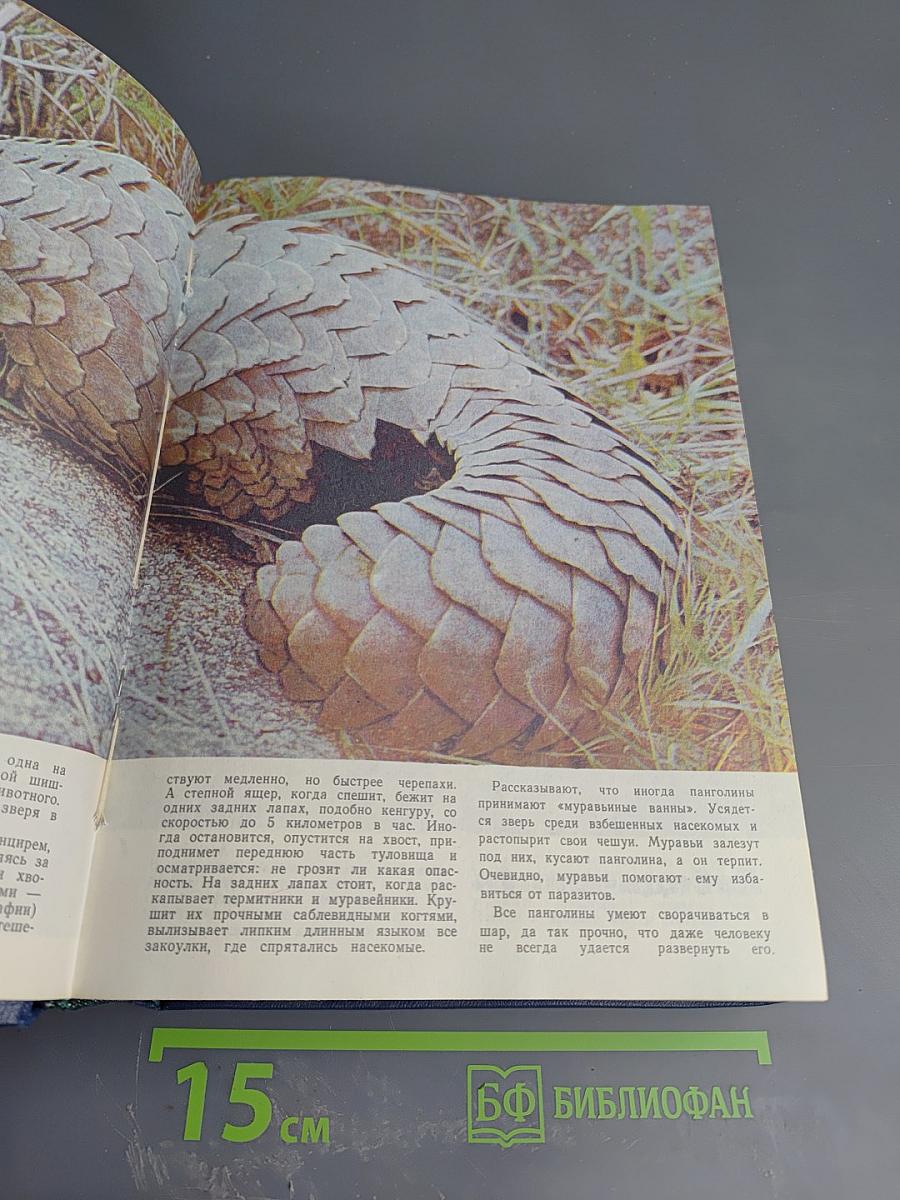 Юный натуралист. 1974