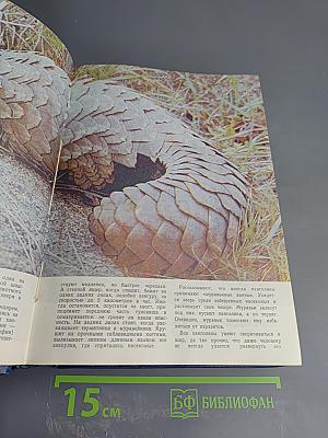 Юный натуралист. 1974