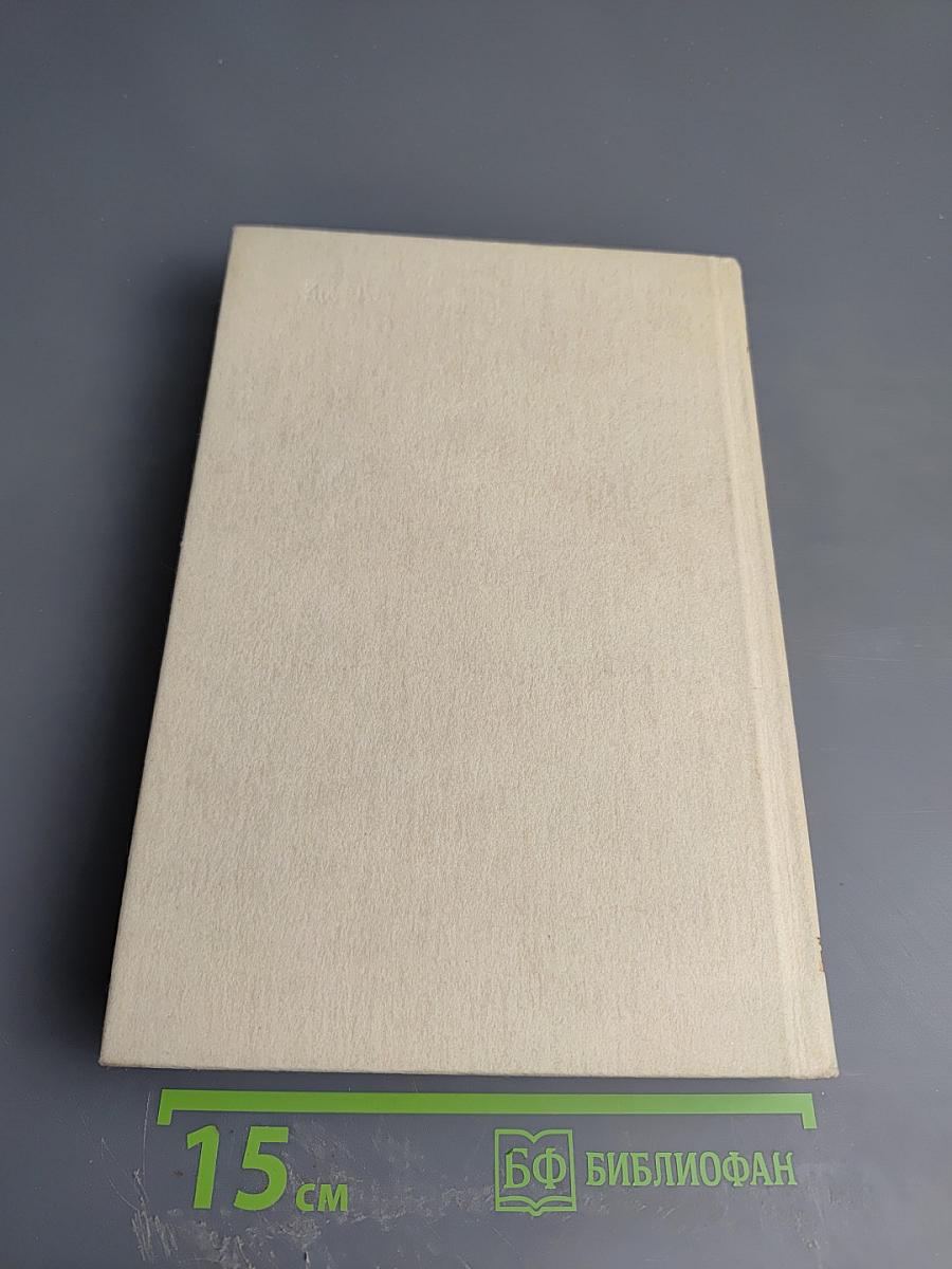 Виконт де Бражелон или Десять лет спустя. Части 5, 6