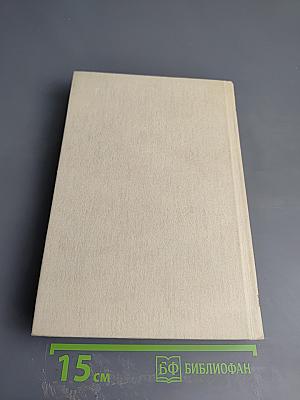 Виконт де Бражелон или Десять лет спустя. Части 5, 6