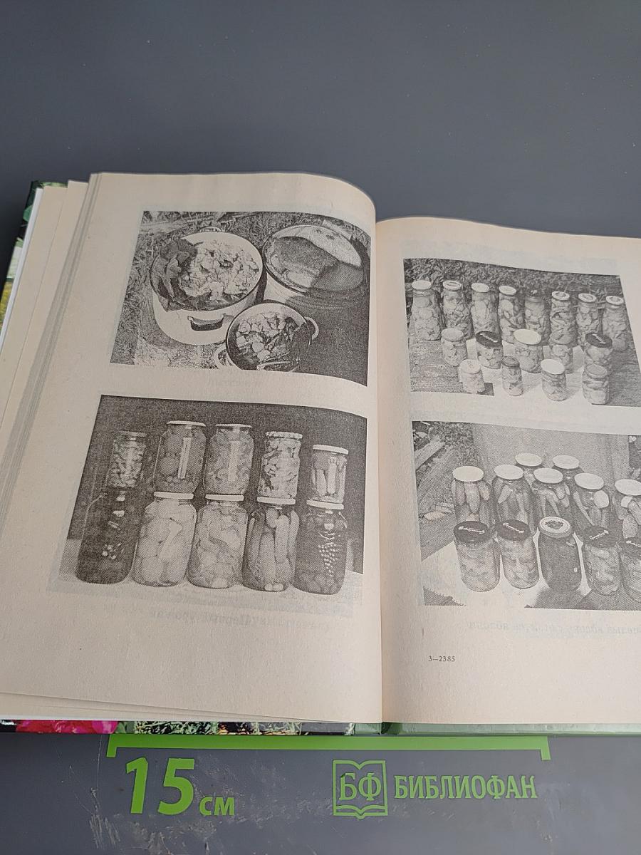 Бог в помощь! Практические советы православным садоводам