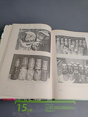 Бог в помощь! Практические советы православным садоводам