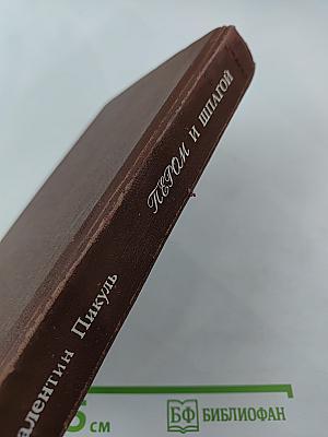 Пером и шпагой