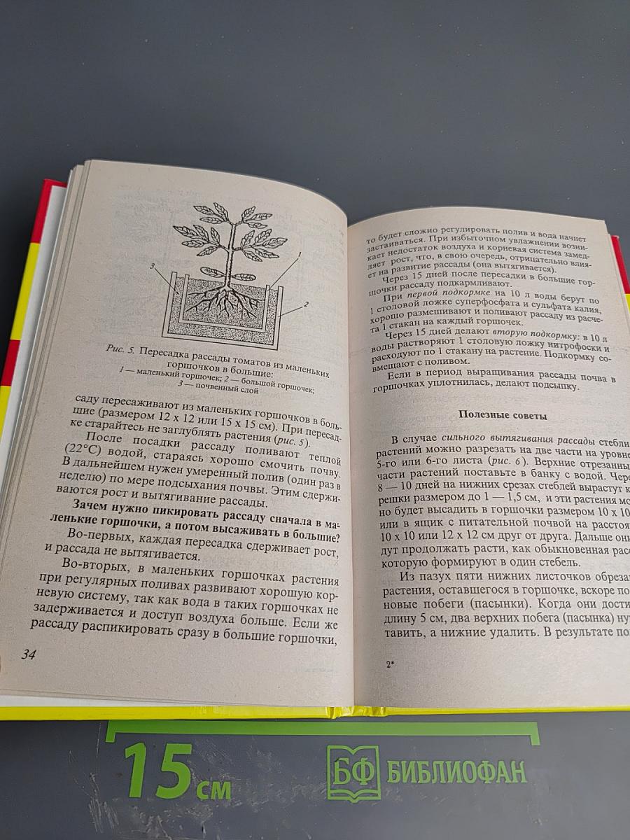 Ранние овощи