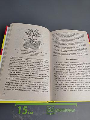 Ранние овощи