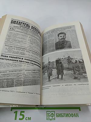 Троцкий. Политический портрет. Книга 2