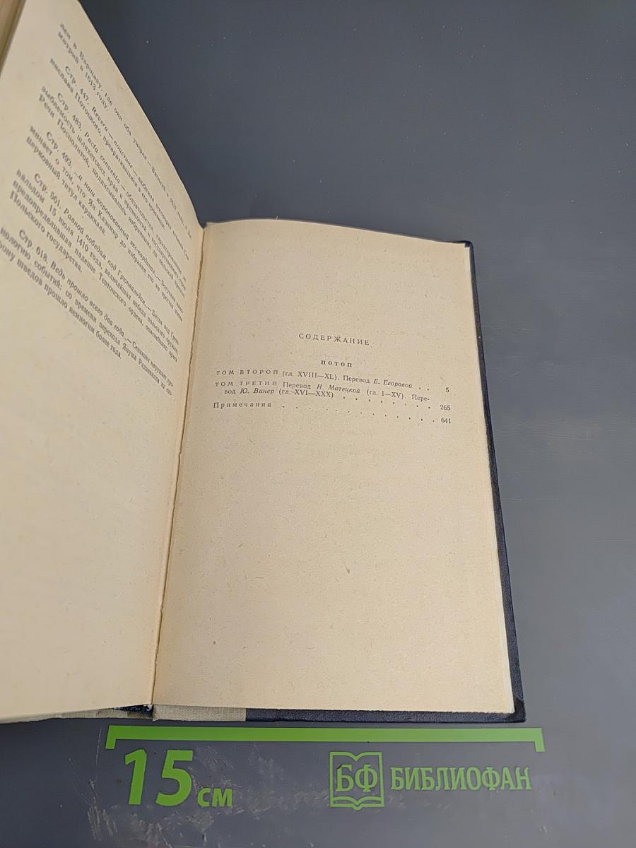 Потоп. Том II