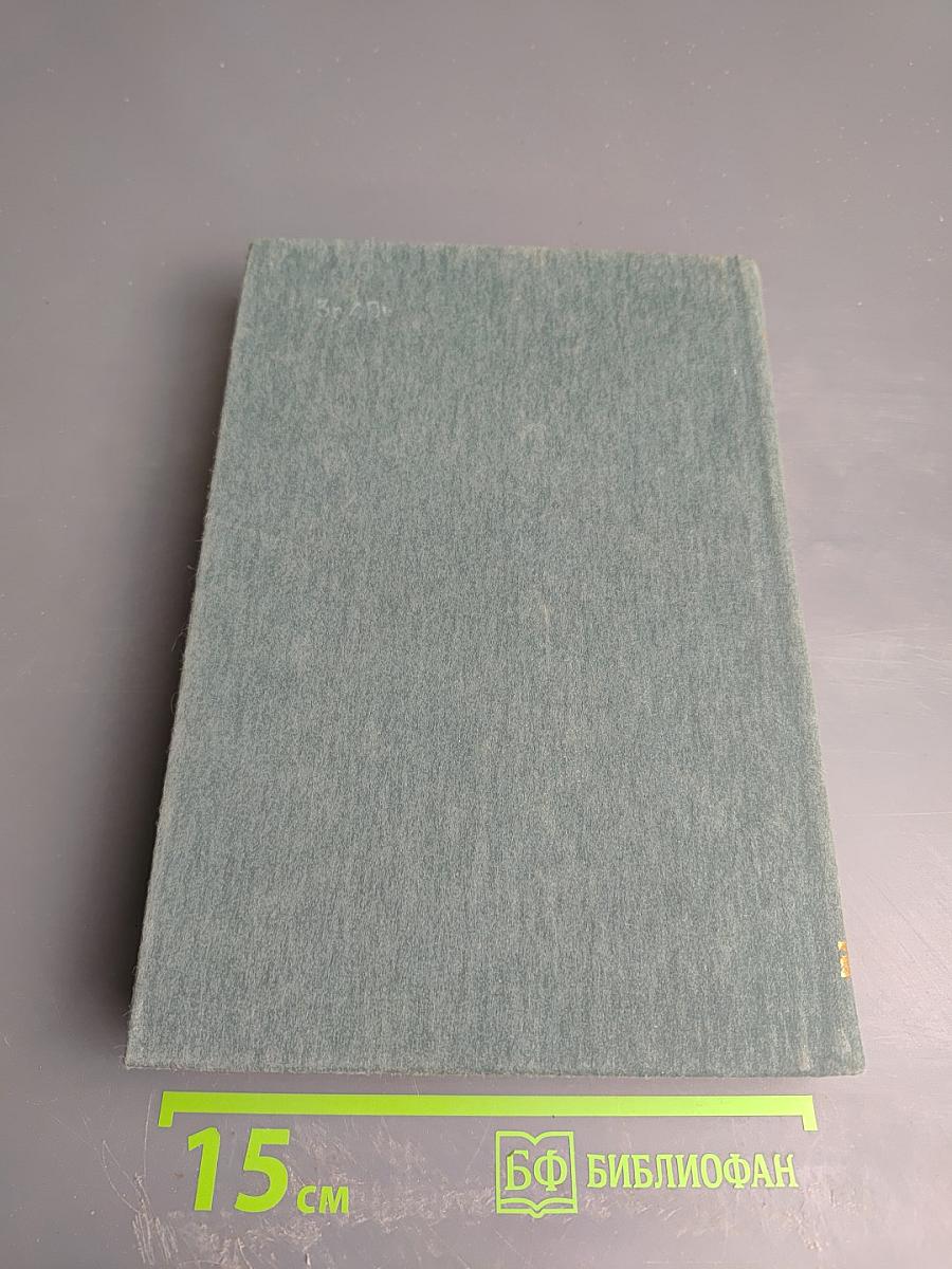 Виконт де Бражелон или Десять лет спустя. Части 5, 6