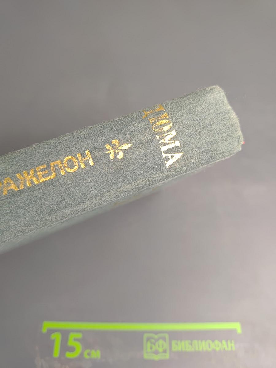 Виконт де Бражелон или Десять лет спустя. Части 5, 6