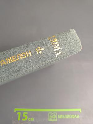 Виконт де Бражелон или Десять лет спустя. Части 5, 6