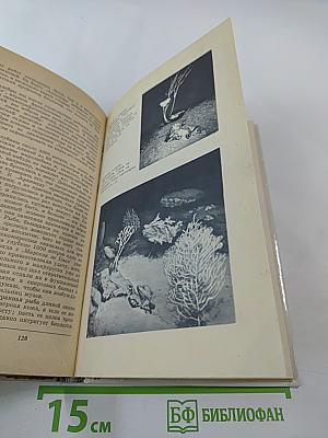 20 лет в батискафе