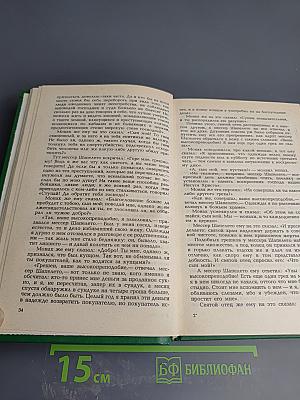 Новелла эпохи Возрождения