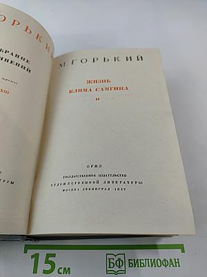 Жизнь Клима Самгина. Часть II