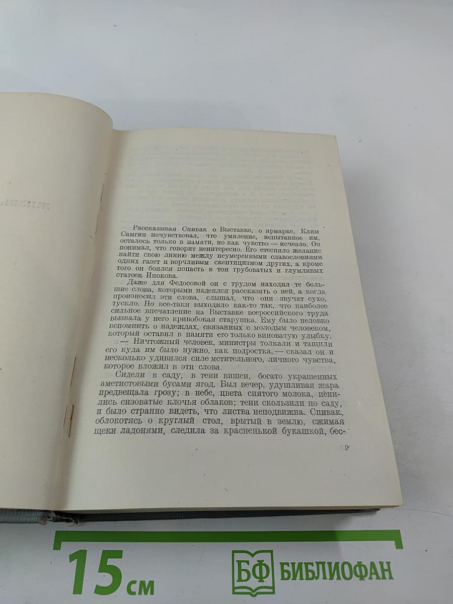 Жизнь Клима Самгина. Часть II