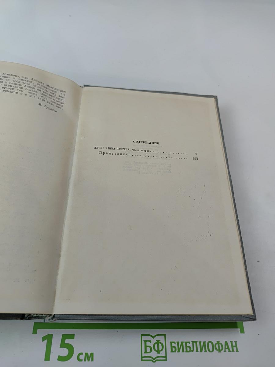 Жизнь Клима Самгина. Часть II