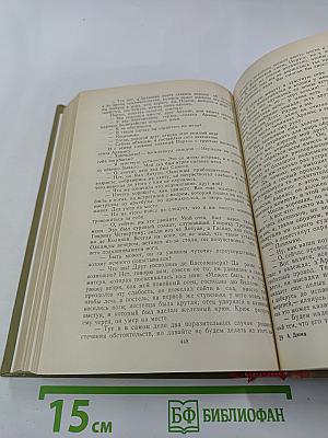 Виконт де Бражелон или Десять лет спустя, части 5,6