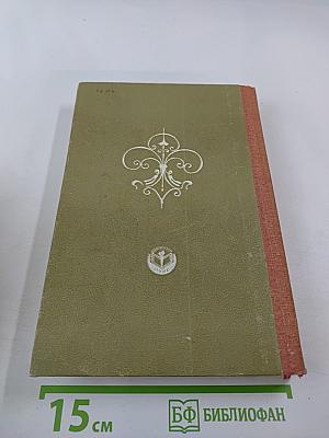 Виконт де Бражелон или Десять лет спустя, части 5,6