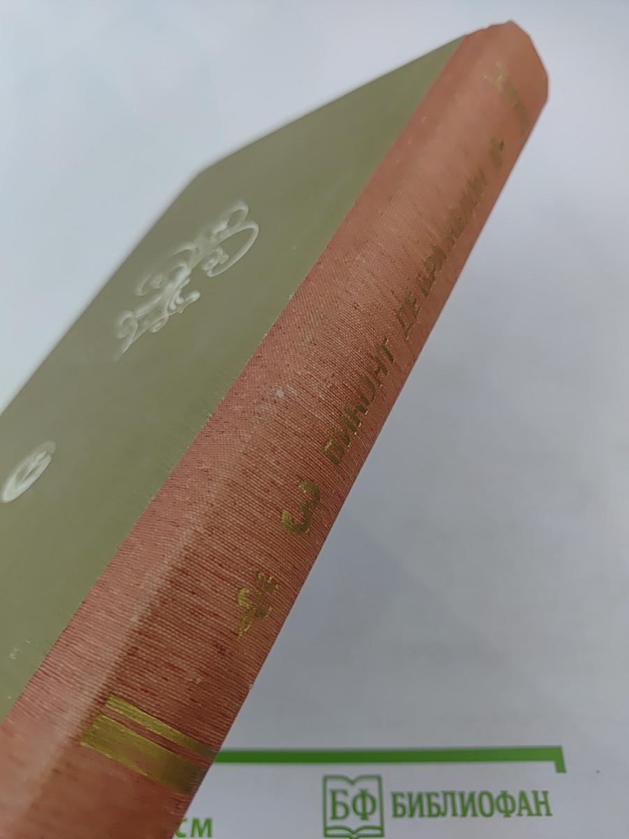 Виконт де Бражелон или Десять лет спустя, части 5,6