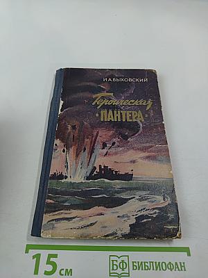 Героическая «Пантера»