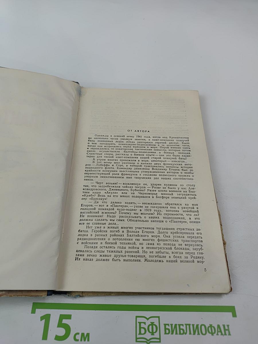 Героическая «Пантера»