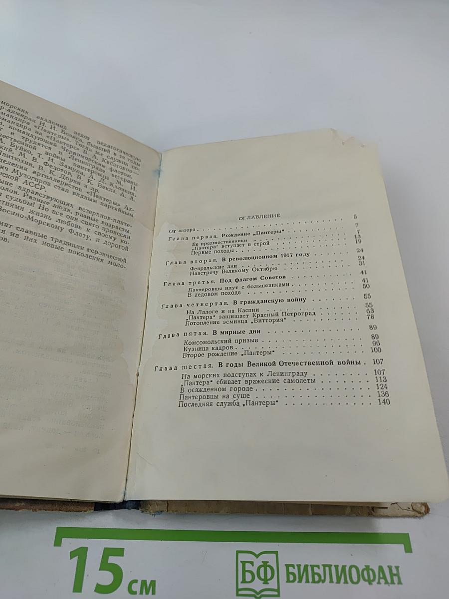 Героическая «Пантера»