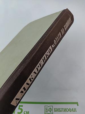 Флаги на башнях