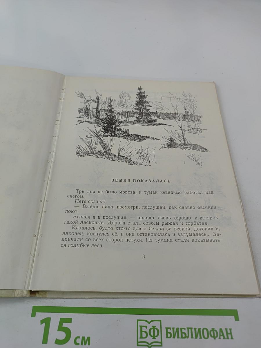 В Берёзовой Роще