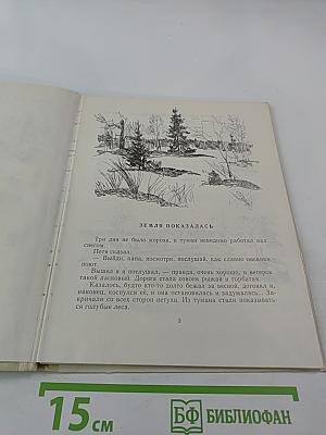 В Берёзовой Роще